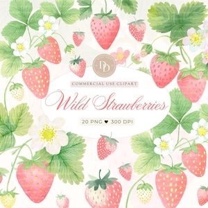 Wild Strawberry Clipart Pack, Strawberry PNG, Cute Strawberry Clipart, Watercolor Strawberry Clipart, Card Making, Strawberry PNG
