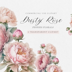 Roze aquarel bloemen clipartpakket, stoffige roos aquarel bloem, illustraties voor commercieel gebruik, transparante png-bestanden, bruiloft clipart