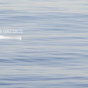 May include: A serene image of water with gentle ripples, in shades of blue and white. The text "ARTFUL CURATION CO." is displayed in white, with a white brushstroke below the text.