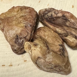 1 Raw, Freeze-Dried Duck Heart Hermit Crab and Isopod Protein Treat