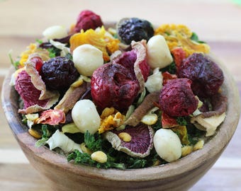 Forager's Delight Balanced Meal for Hermit Crabs with 21 Healthy Ingredients