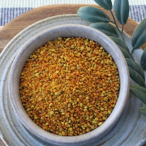 Pure Bee Pollen Hermit Crab Food