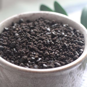 Cows Blood Hermit Crab Food