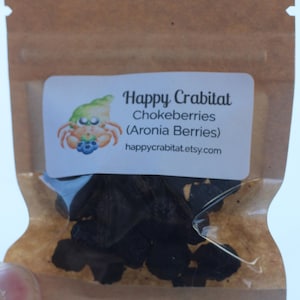 Chokeberries (Aronia Berries) Hermit Crab Food