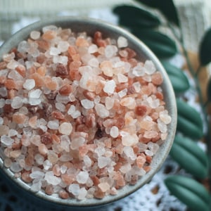 Pink Himalayan Sea Salt Hermit Crab Food