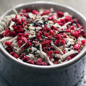 Cran-Apple Calcium Coconut Hermit Crab Treat