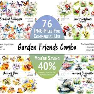 Garden Insects Discount Clipart Bundle, Butterfly, Ladybug, Bee, Dragonfly - PNG, Transparent Backround, Instant Download, Commercial Use