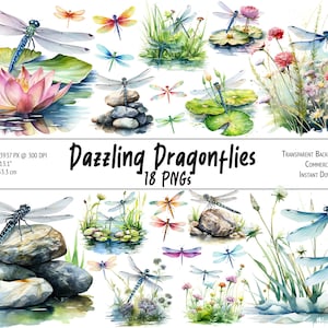 Paquete de imágenes prediseñadas de libélulas deslumbrantes, paquete PNG de libélula, imágenes prediseñadas de jardín, naturaleza - fondo transparente, descarga instantánea, uso comercial