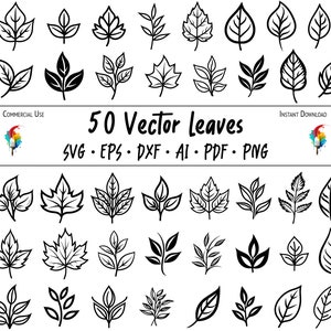 Paquete de gráficos vectoriales de hojas, paquete SVG de hojas para corte, grabado, impresión de diseños digitales y más en papel y láser - uso comercial