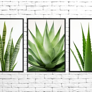 Minimal Snake Plant Art, Agave Wall Art, Botanical Wall Art, Set Of 3,Living Room Wall Art, Aloe Vera Art, Digital Download, Minimalistic