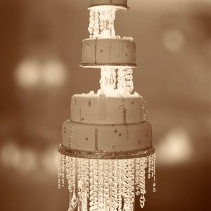 Cake Riser | Floating CAKE stand