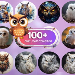 Owl Car Coaster 3D Baby Owl Car Coaster 100 PNG Colorful Owl Car Coaster Sublimation Designs Woodland Owl Designs Car Coaster Bundle