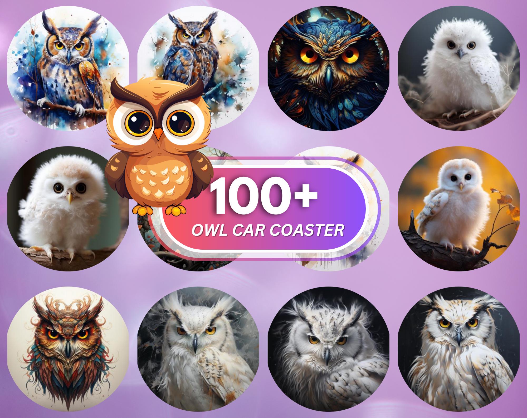 Owl Car Coaster 3D Baby Owl Car Coaster 100 PNG Colorful Owl Car Coaster Sublimation Designs Woodlan