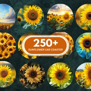 Könnte beinhalten: Eine Sammlung von über 250 Sonnenblumen-Auto-Untersetzern. Die Untersetzer zeigen verschiedene Bilder von Sonnenblumen in verschiedenen Umgebungen, darunter Nahaufnahmen, Felder und Sonnenuntergänge.
