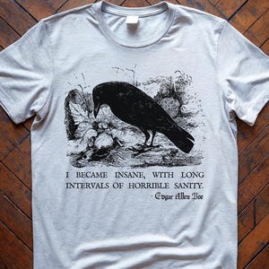 May include: A gray t-shirt with a black and white illustration of a raven and the quote "I became insane, with long intervals of horrible sanity." - Edgar Allan Poe.