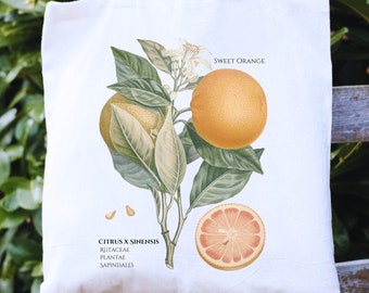 Vintage Orange Tote Bag Citrus Fruit Botanical Tote Bag Plant Lover Gift Nature Lover Gift Botanical Illustration Coquette Tote Cottagecore