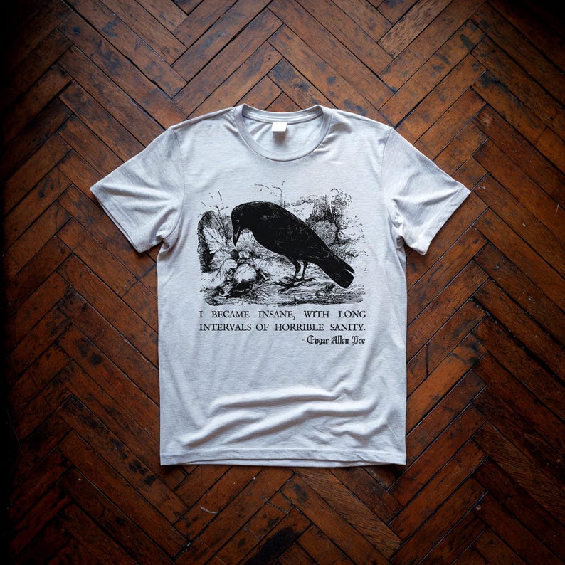 May include: A gray t-shirt with a black and white illustration of a raven and the quote "I became insane, with long intervals of horrible sanity." - Edgar Allan Poe.