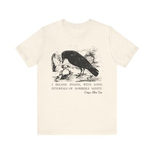 Edgar Allan Poe Shirt Grunge Aesthetic Memento Mori Poet TShirt Dark Academia Shirt Bookish T-Shirt Mall Goth Sweatshirt Fairycore Shirt image 6