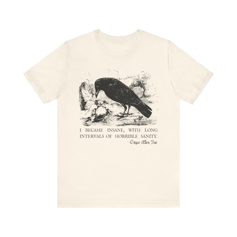 Edgar Allan Poe Shirt Grunge Aesthetic Memento Mori Poet TShirt Dark Academia Shirt Bookish T-Shirt Mall Goth Sweatshirt Fairycore Shirt image 6
