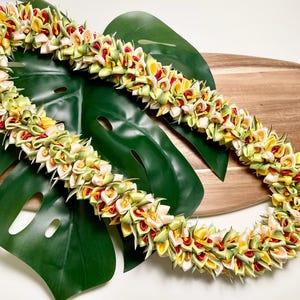 Satin Ribbon Lei - Hawaiian Lei - Graduation Lei - Green, Yellow, White & Red