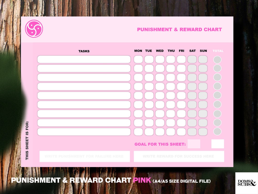 Kink Punishment & Reward Chart pink Kinky Gift Etsy