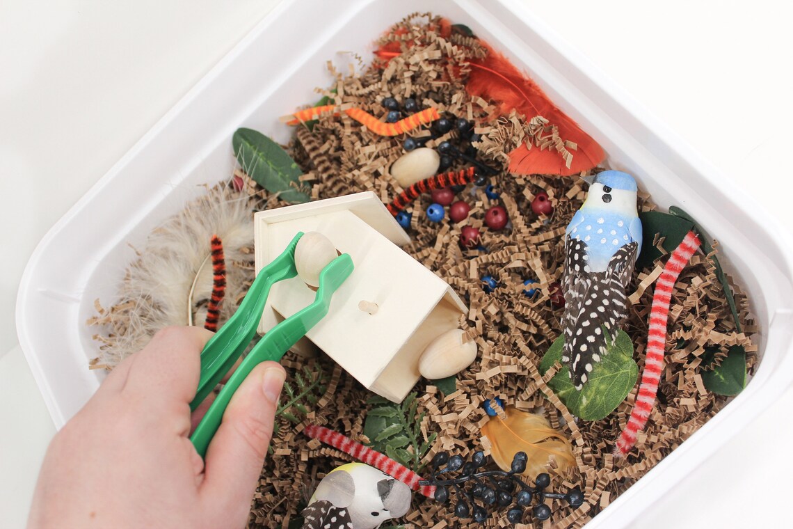 Bird's Nest Sensory Bin Kids Activity Box Sensory Play Toddler