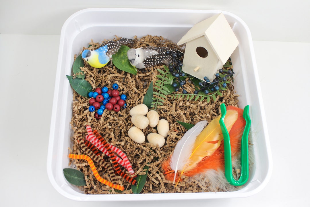 Bird's Nest Sensory Bin Kids Activity Box Sensory Play Toddler