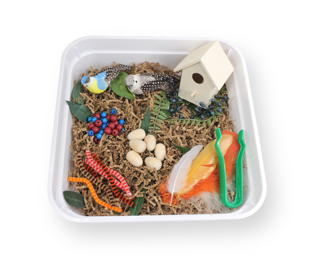 Bird's Nest Sensory Bin Kids Activity Box Sensory Play - Etsy