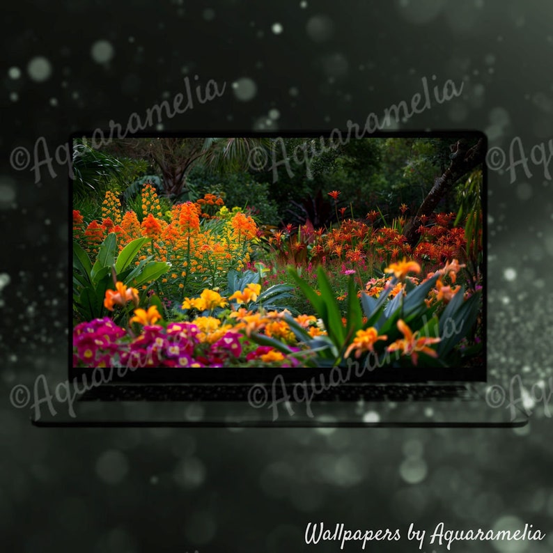 Gardens Desktop Background, Spring Nature Photography Wallpaper, Best ...