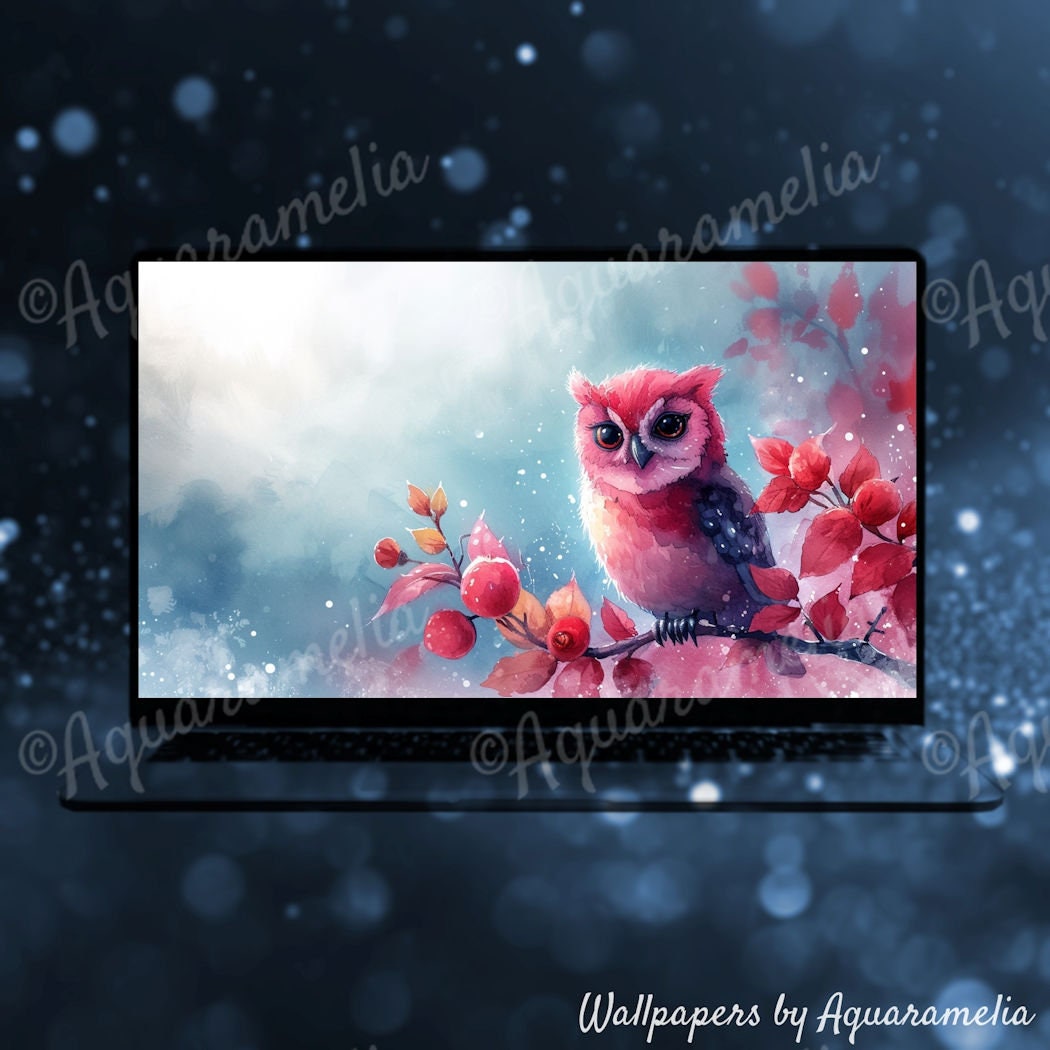 Cute Owl Animal Desktop Wallpaper, Cute Pet Owl Wallpaper, Valentines