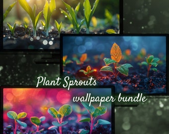 Plant Sprouts Desktop Background, Spring Houseplant Seedling Gardening Wallpaper, Best Nature Photo Wallpapers Colorful Floral Aesthetic