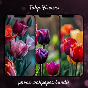 Könnte beinhalten: Ein Telefon-Hintergrundbild-Paket mit drei verschiedenen Nahaufnahmen von bunten Tulpen. Die Bilder zeigen eine Vielzahl von Farben, darunter Rot, Orange, Pink, Lila und Gelb.
