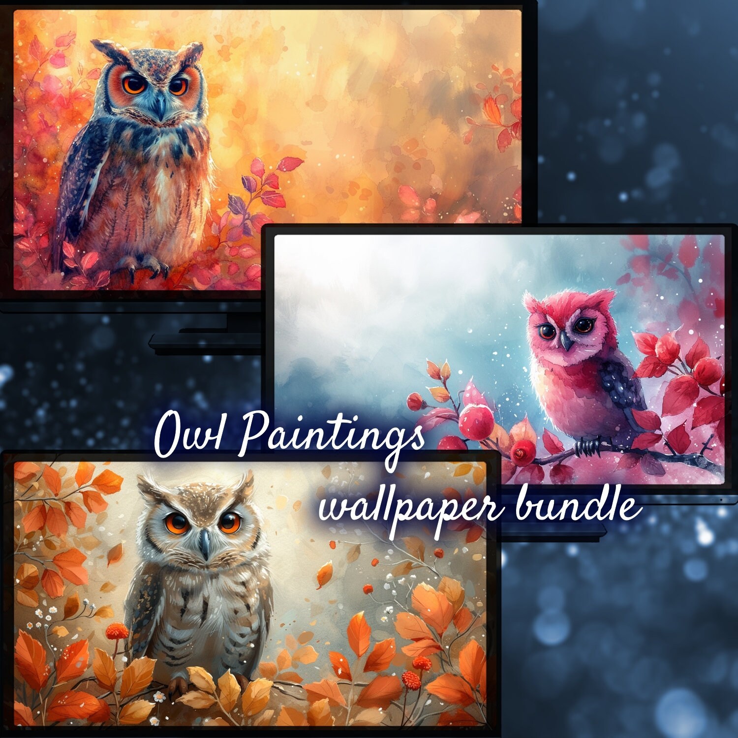 Cute Owl Animal Desktop Wallpaper, Cute Pet Owl Wallpaper, Valentines