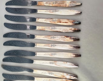 Juego de 4 cuchillos modernos macizos Oneida Gentle Rose plateados, 1960. Producto descatalogado.