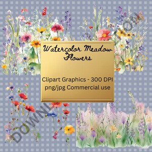 Watercolor Meadow Flowers Clipart - spring wildflower floral PNG and JPG format instant download for commercial use