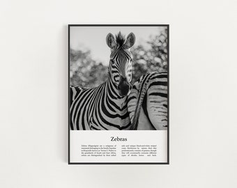 Zebra Print, Printable Zebra Wall Art, Infographic Zebra Poster, Black and White Zebra Photo, Digital Download Zebras Wall Art Print Decor
