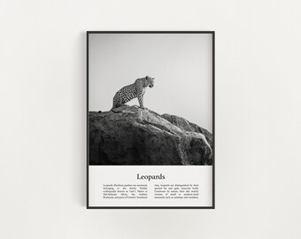 Imprimé léopard, art mural imprimable léopard, affiche léopard infographique, photo léopard noir et blanc, impression léopard en téléchargement numérique