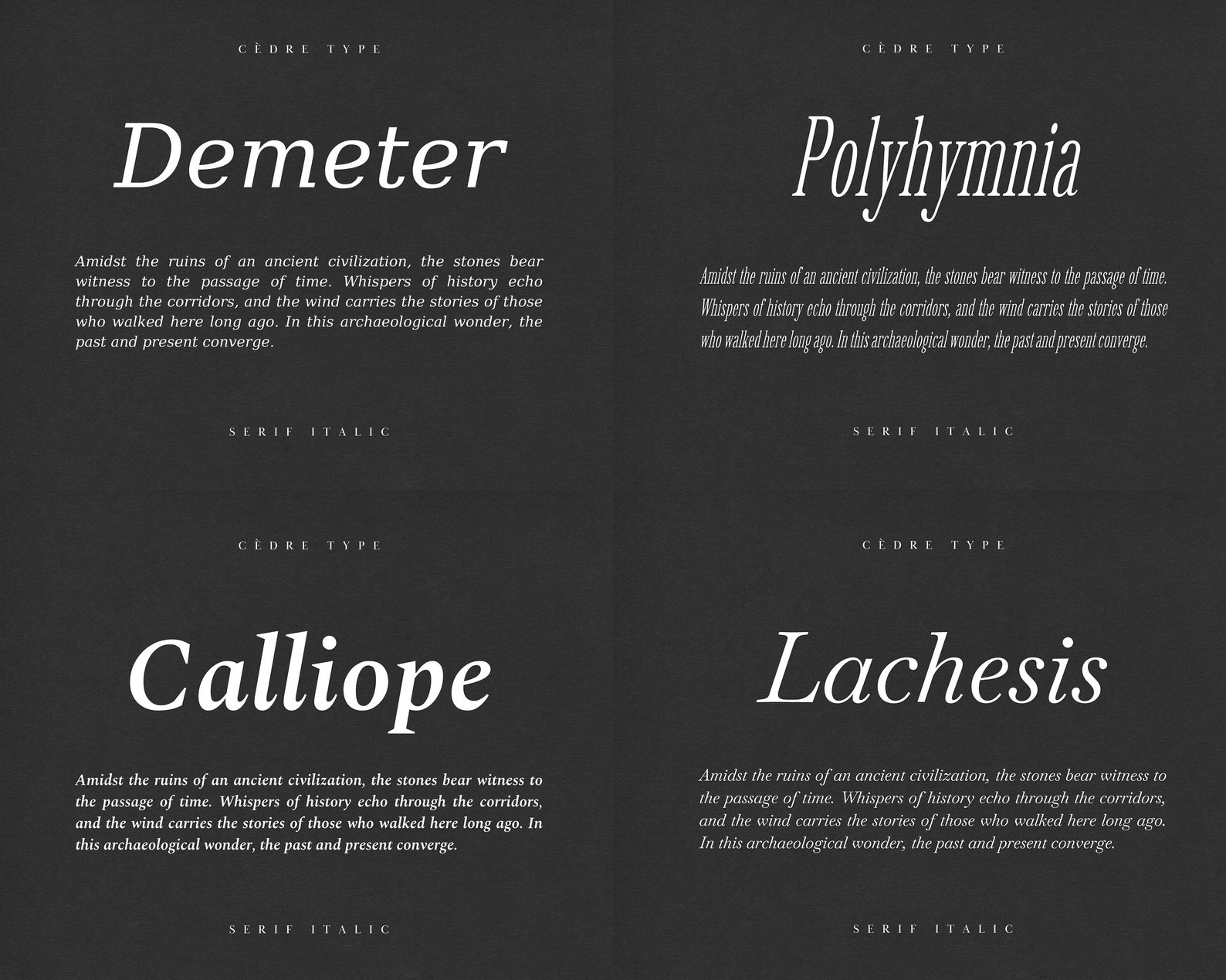 Serif Italic Font Bundle, Modern Serif Italic Fonts OTF, Classy Logo ...