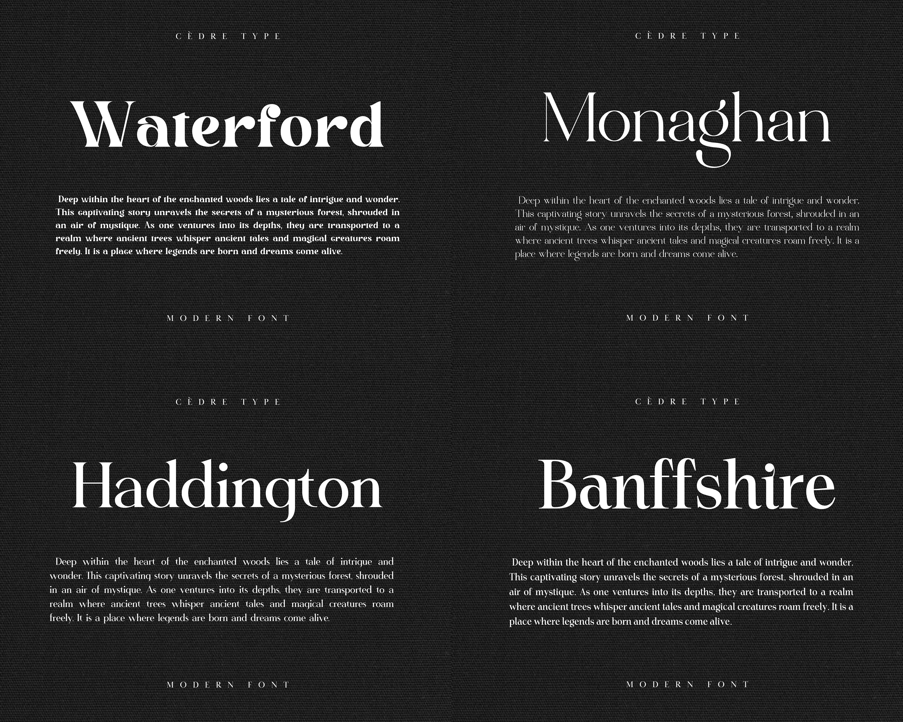 Modern Fonts Bundle 1, Elegant Modern Font OTF, Procreate Fonts, Canva