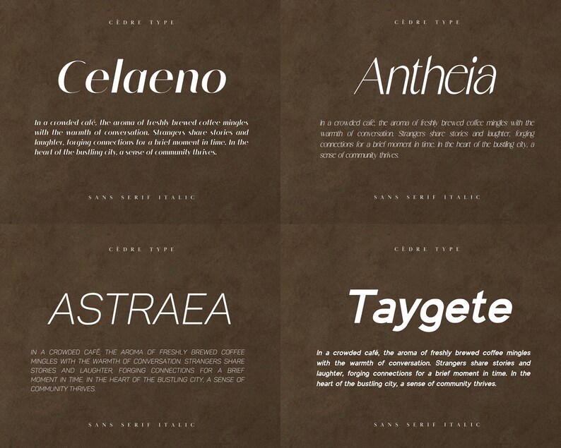 Sans Serif Italic Font Bundle, Modern Sans Serif Italic Fonts OTF ...