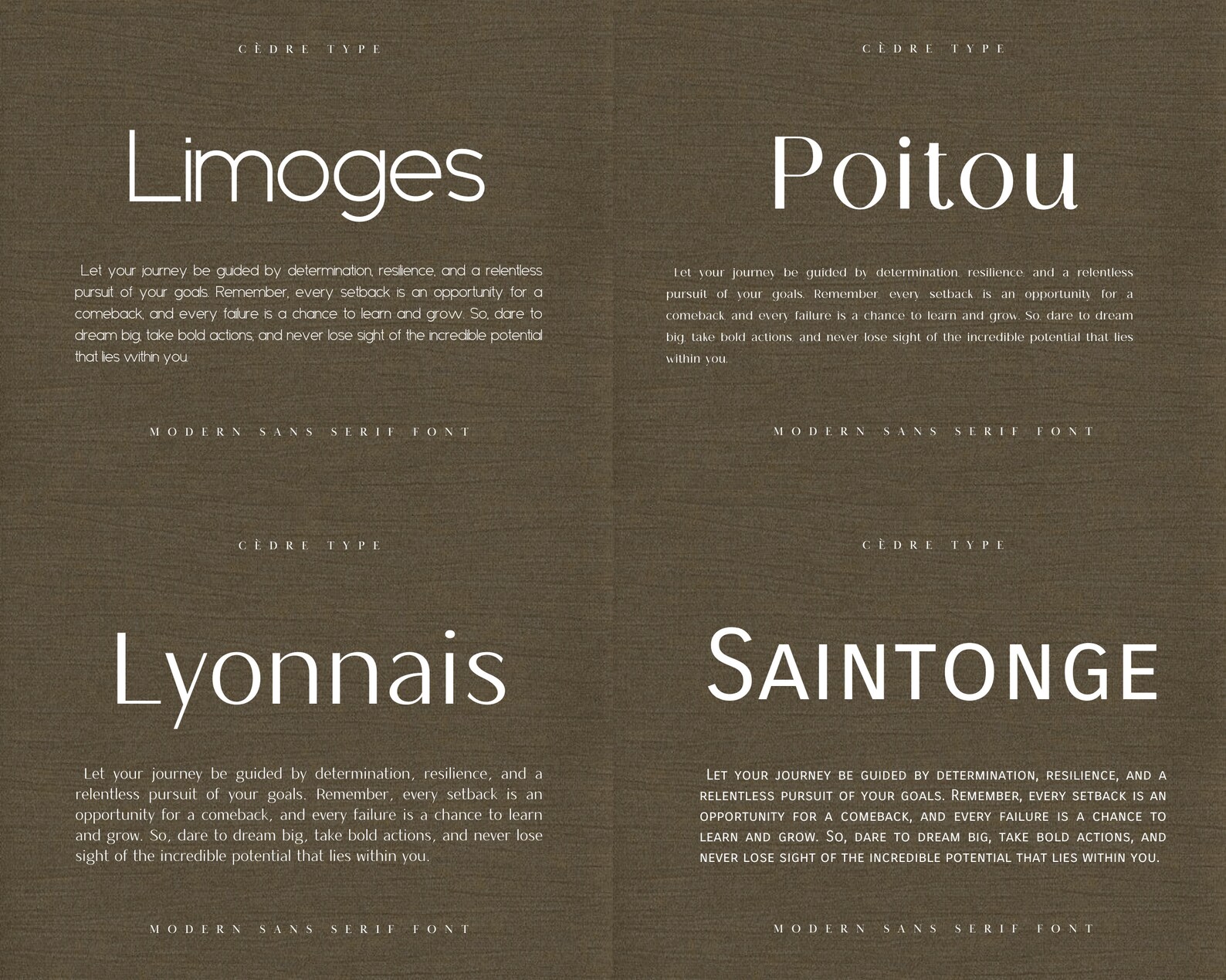 Modern Sans Serif Fonts Bundle 3, Elegant Modern Sans Serif Font OTF ...