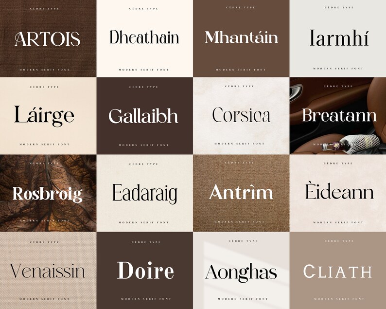 Modern Serif Fonts Bundle 3, Elegant Modern Serif Font OTF, High End ...