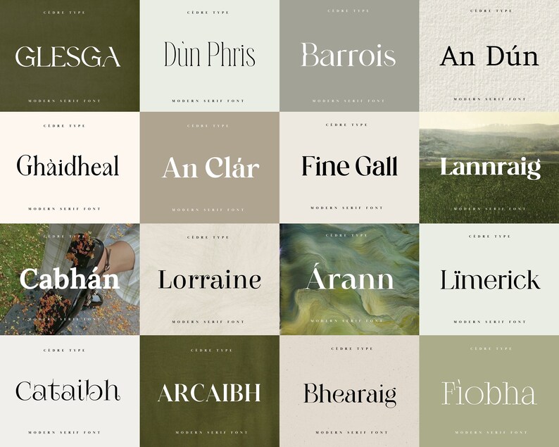 Modern Serif Fonts Bundle 2, Elegant Modern Serif Font OTF, Baby Show ...