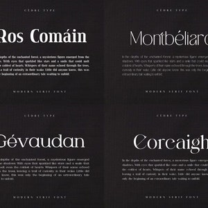 Modern Serif Fonts Bundle 1, Elegant Modern Serif Font OTF, Procreate ...