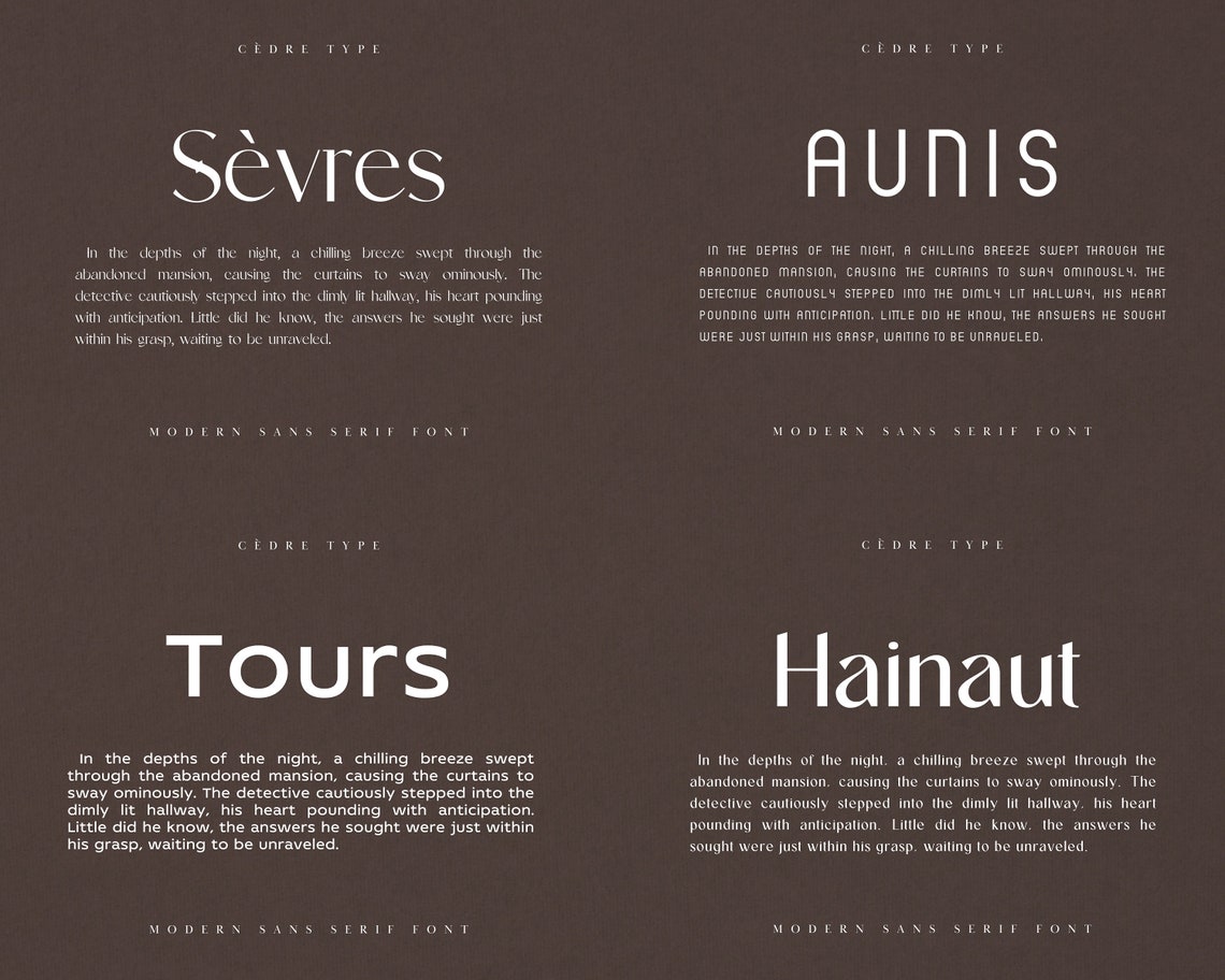 Modern Sans Serif Fonts Bundle 1, Elegant Sans Serif Font OTF ...