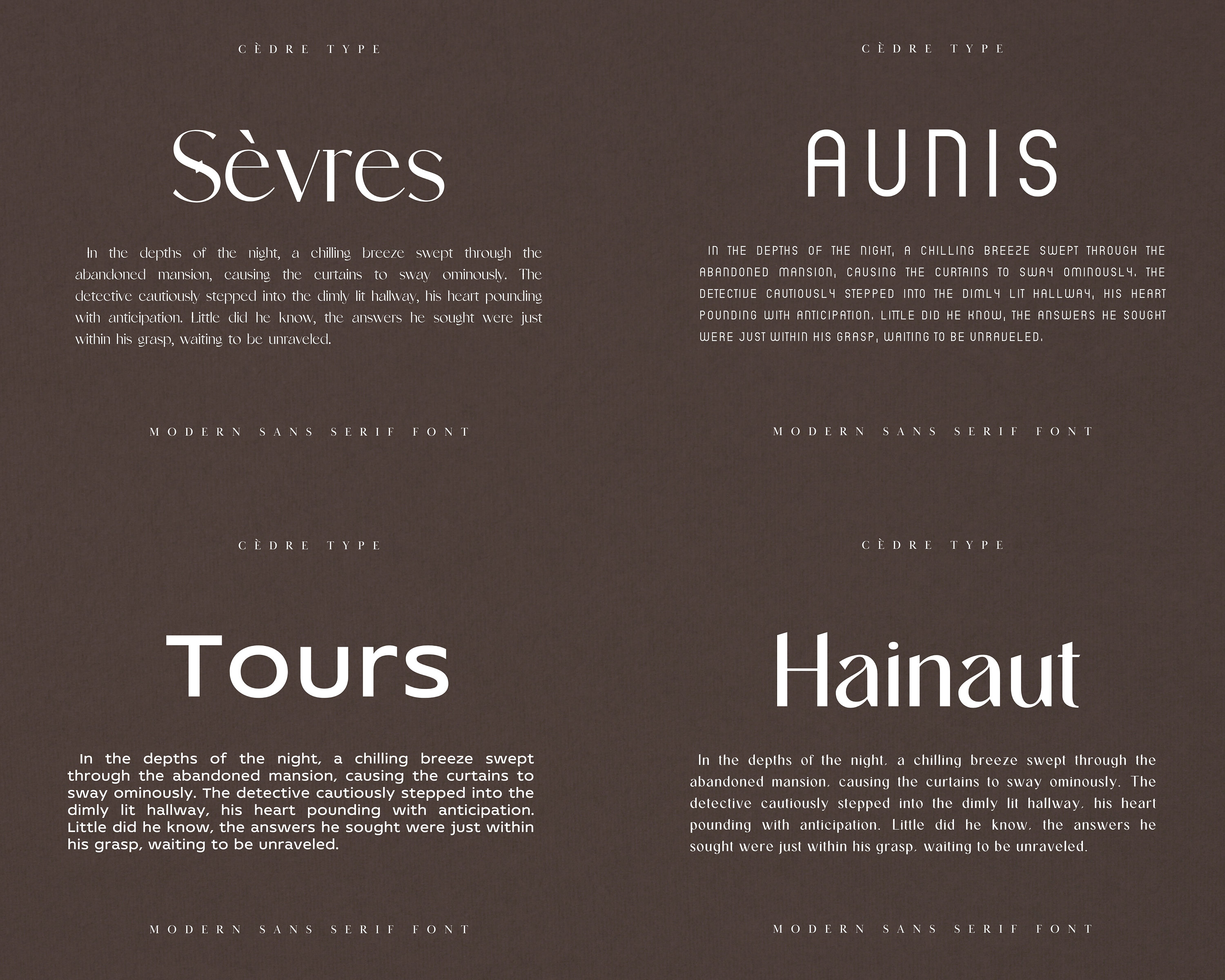 Modern Sans Serif Fonts Bundle 1, Elegant Sans Serif Font OTF ...