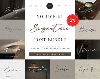 Signature Fonts Bundle 1, Handwritten Signature Font, Handwriting Procreate Fonts, Canva Fonts, Circuit Fonts, Wedding Fonts, Commercial Use