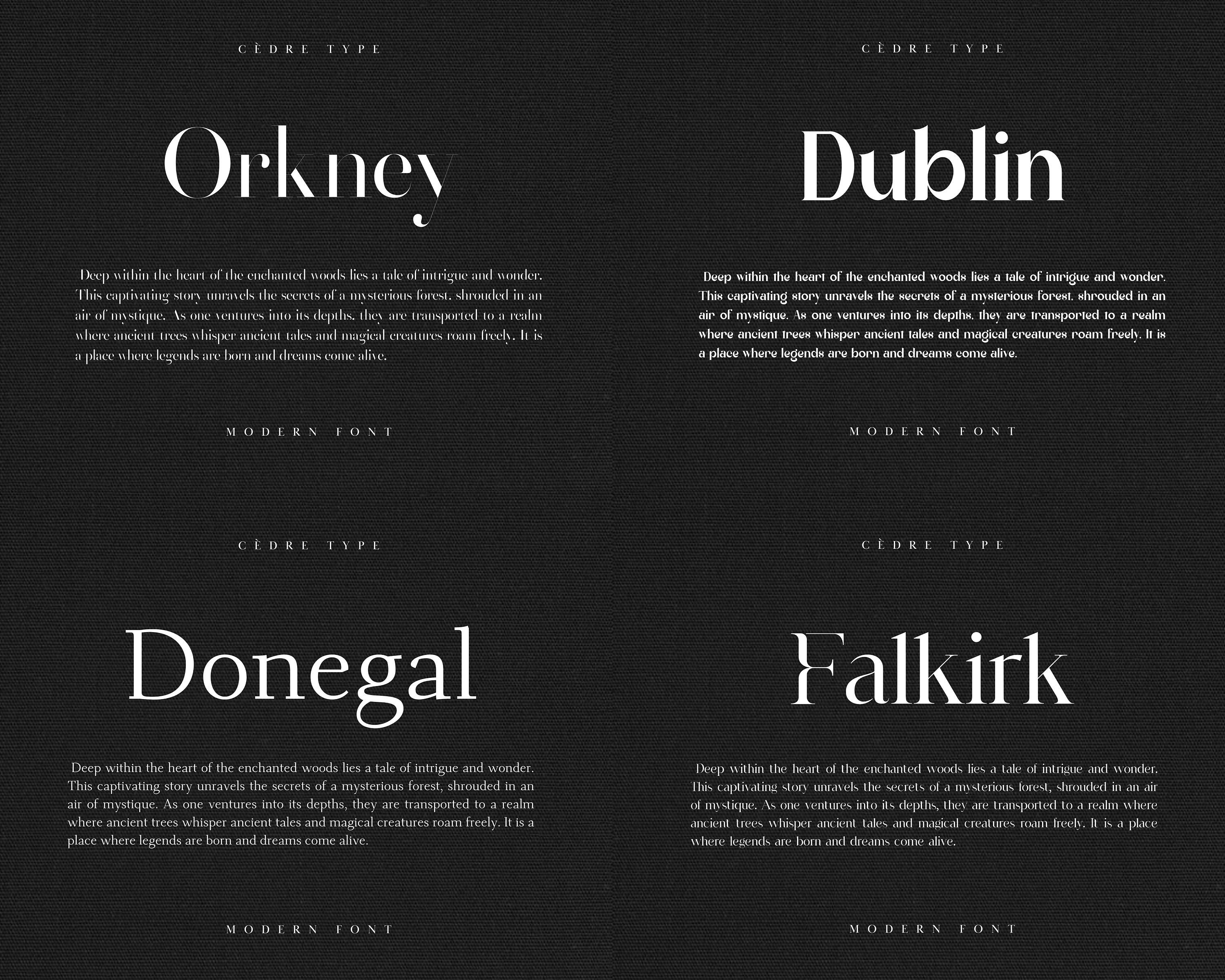 Modern Fonts Bundle 1, Elegant Modern Font OTF, Procreate Fonts, Canva