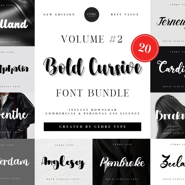 Bold Cursive Fonts Bundle 2, Beautiful Bold Cursive Font OTF, Procreate Fonts, Canva Elegant Fonts, New Circuit Fonts, Wedding Fonts