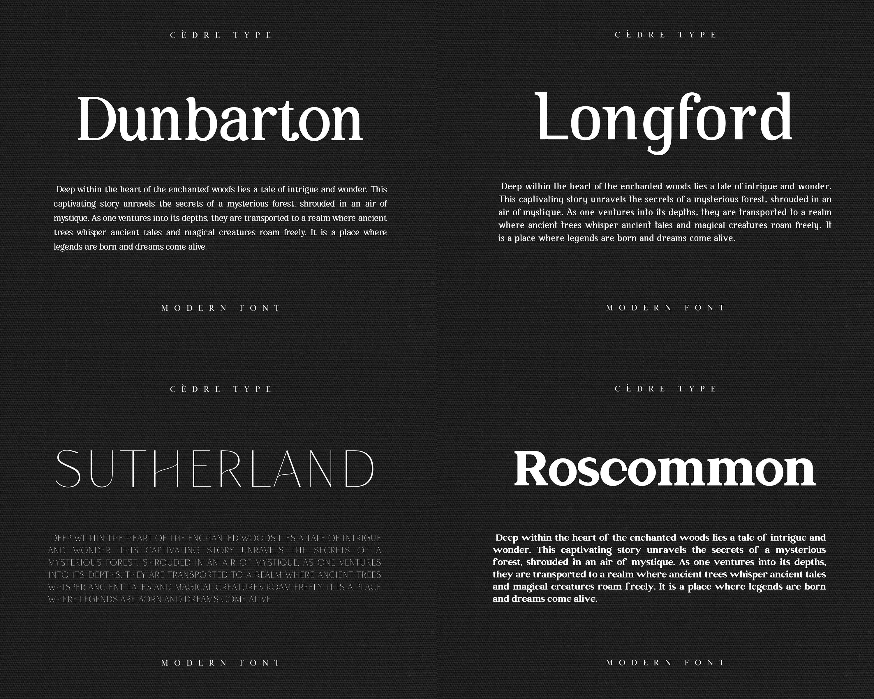 Modern Fonts Bundle 1, Elegant Modern Font OTF, Procreate Fonts, Canva